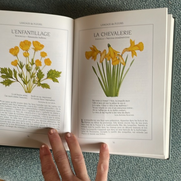 EUC Le langage des fleurs en français de Pamela Todd. - Picture 2 of 5